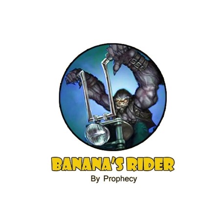 Concentré Banana Rider