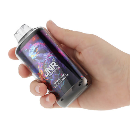 La prise en main de la Puff Rechargeable Falcon-X Plus Blackberry Red Raspberry par JNR