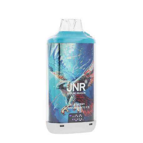 La Puff Rechargeable Falcon-X Plus Blueberry Pomegranate Ice par JNR