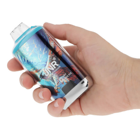 La prise en main de la Puff Rechargeable Falcon-X Plus Blueberry Pomegranate Ice par JNR