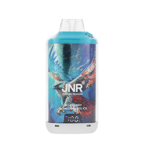 L'écran de la Puff Rechargeable Falcon-X Plus Blueberry Pomegranate Ice par JNR