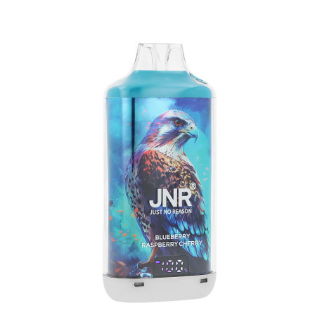 Zoom sur la puff rechargeable Falcon-X Plus par JNR