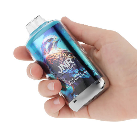 La prise en main de la puff rechargeable Falcon-X Plus de JNR