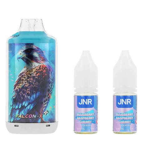 Le contenu de la boîte de la puff rechargeable Falcon-X Plus par JNR