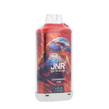 Zoom sur la puff rechargeable Falcon-X Plus par JNR