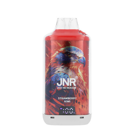 L'écran de la puff rechargeable Falcon-X Plus de JNR