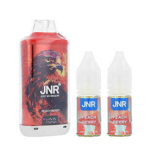 Zoom sur la puff rechargeable Falcon-X Plus par JNR et ses deux e-liquides