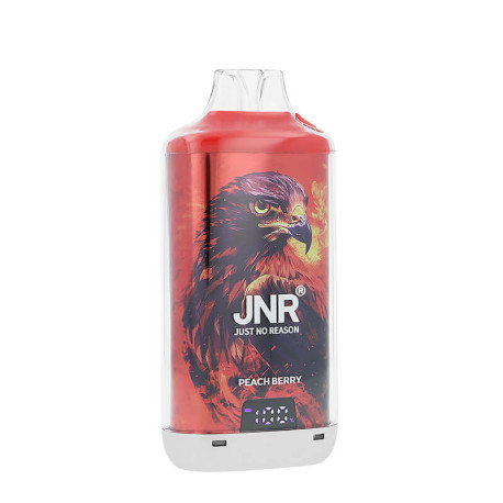 Zoom sur la puff rechargeable Falcon-X Plus par JNR