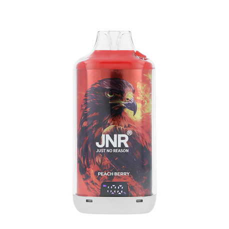 L'écran de la puff rechargeable Falcon-X Plus de JNR