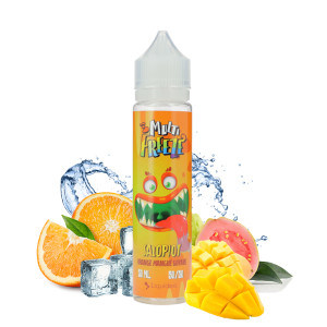 E-liquide Salopiot 50ml Multi Freeze Liquideo