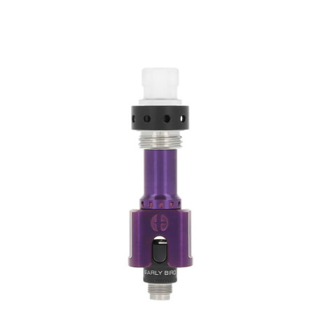 Le Serin Boro RBA de Early Bird en Electric Purple