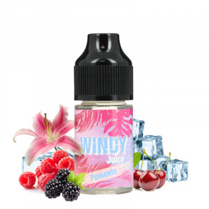 E.Tasty Windy Juice Poniente Concentrate