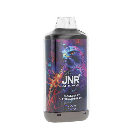 Zoom on JNR's Falcon-X Plus refillable puff