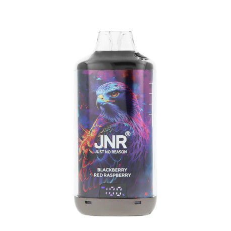 The screen of JNR's Falcon-X Plus refillable puff