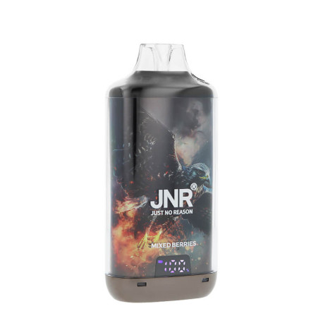 Zoom on JNR's Falcon-X Plus refillable puff