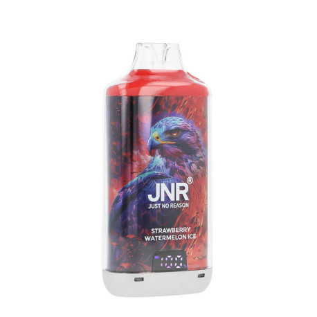 JNR's Falcon-X Plus Strawberry Watermelon Ice Refillable Puff