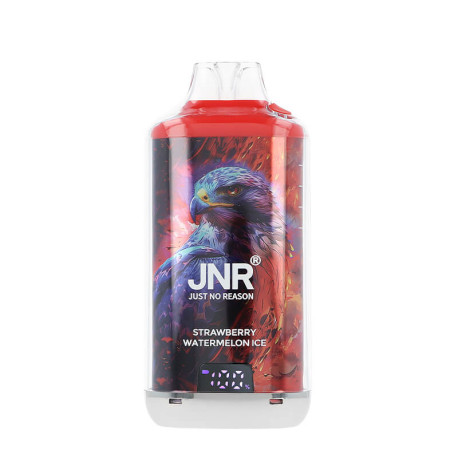 The screen of JNR's Falcon-X Plus Strawberry Watermelon Ice Refillable Puff