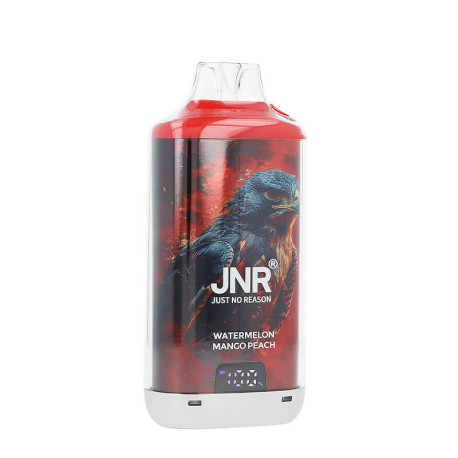 JNR's Falcon-X Plus Watermelon Mango Peach Refillable Puff