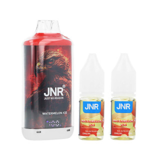 JNR's Falcon-X Plus refillable puff and the two Watermelon Ice e-liquids