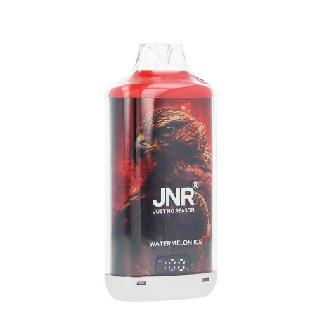 JNR's Falcon-X Plus Watermelon Ice Refillable Puff