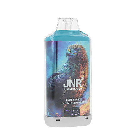 JNR's Falcon-X Plus Blueberry Sour Raspberry Refillable Puff