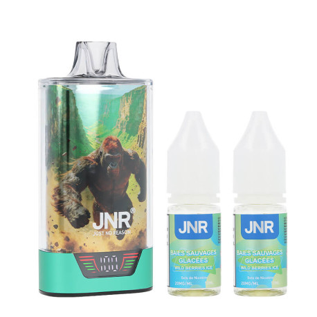 JNR's Gorilla X 43K refillable puff and the two Wild Berries Ice e-liquids