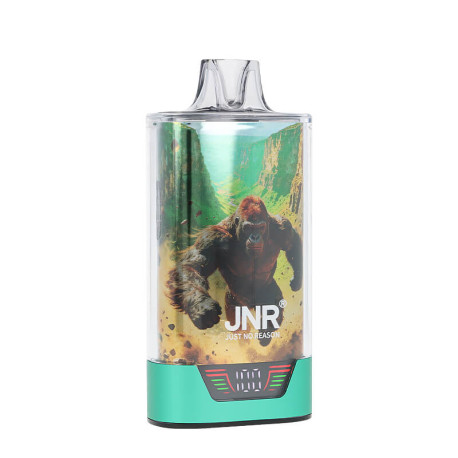 JNR's Gorilla X Wild Berries Ice 43K Refillable Puff