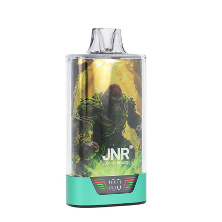 The screen of JNR's Gorilla X Fresh Mint 43K puff