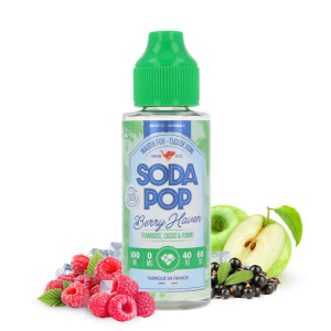 The Fuu's Soda Pop Berry Haven 100ml e-liquid