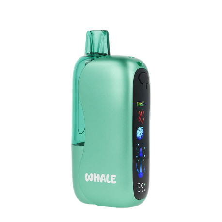 The screen of JNR's Whale Strawberry Ice 38K Puff