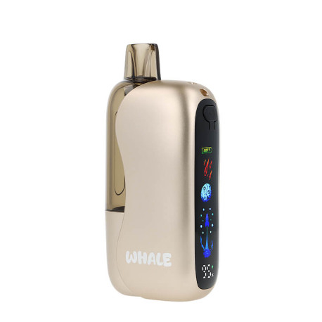 JNR's Whale Peach Mango Pineapple 38K puff