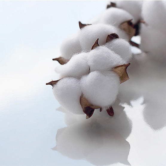 Comment faire son cotonnage sur atomiseur ?