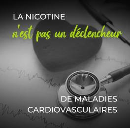 [Étude] La nicotine n’est pas à l’origine d’arythmies, d’AVC, d’infarctus ou de problèmes cardiaques mortels