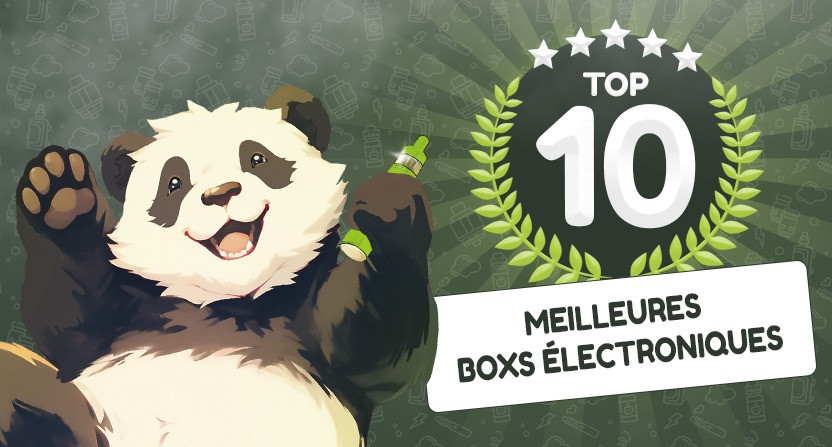 Top 10 des meilleures boxs électroniques