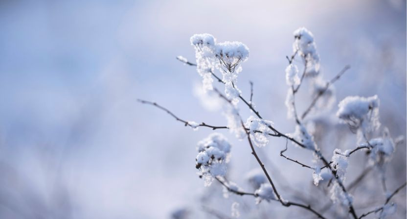 Les nouveautés de février
