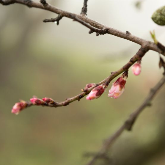 Les nouveautés de mars