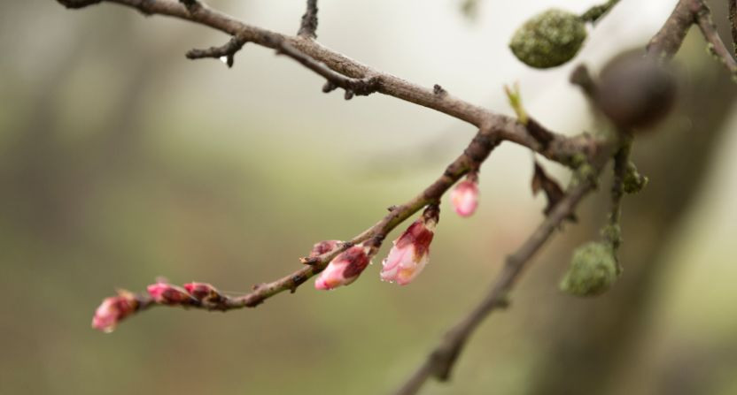 Les nouveautés de mars
