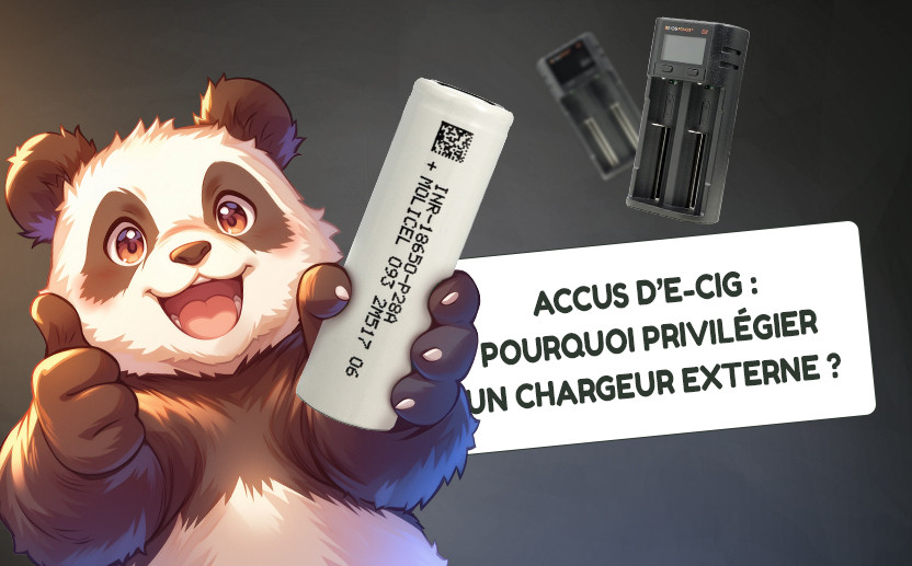 Accus d’e-cig : pourquoi privilégier un chargeur externe ?