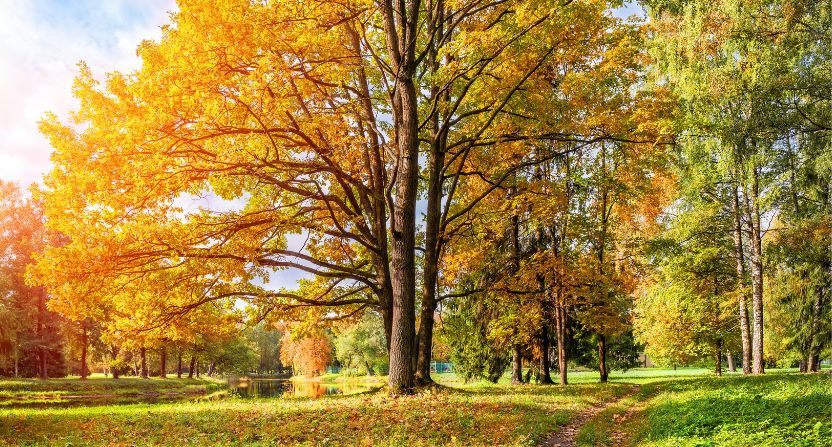 Les nouveautés de septembre