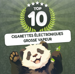 Top 10 des meilleures cigarettes électroniques grosse vapeur