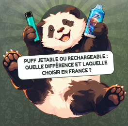 Puff jetable ou rechargeable : quelle différence et laquelle choisir en France ?