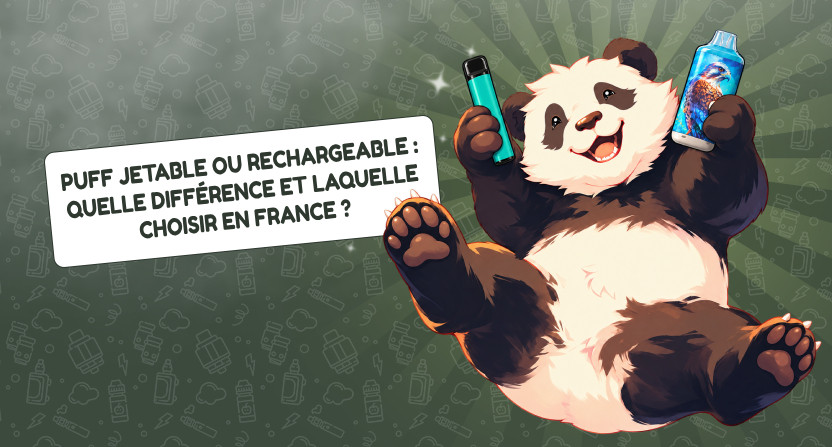 Puff jetable ou rechargeable : quelle différence et laquelle choisir en France ?