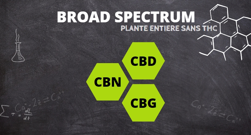 Les molécules présentes dans le CBD Broad Spectrum