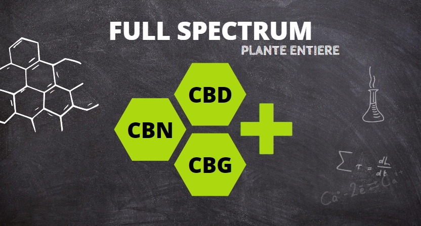 Les molécules présentes dans le CBD Full Spectrum