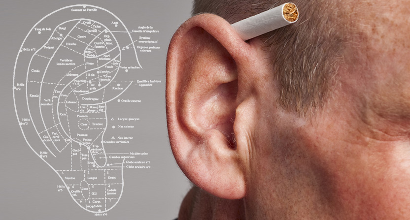 Schéma des points de réflexes de l’oreille