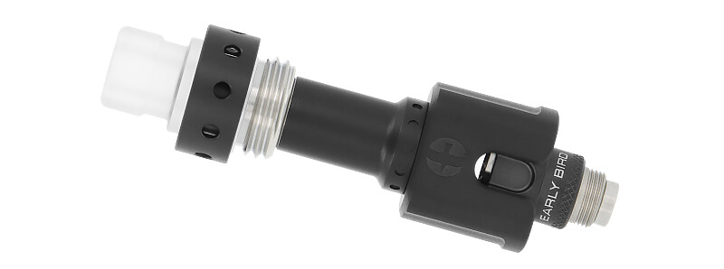 Zoom sur le Serin Boro RBA de Early Bird