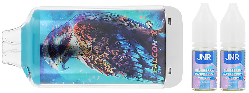 Le contenu de la boîte de la puff rechargeable Falcon-X Plus par JNR