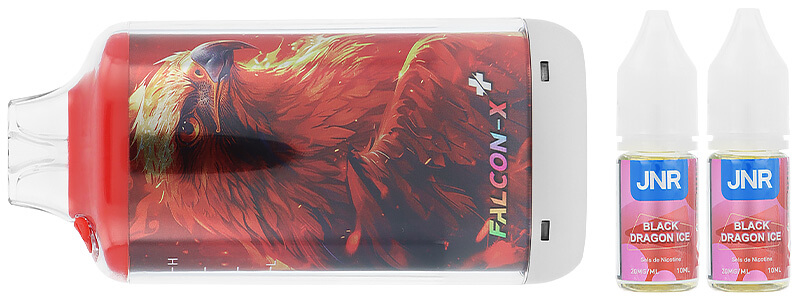 Le contenu de la boîte de la puff rechargeable Falcon-X Plus par JNR