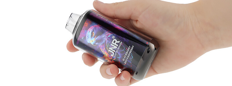 La prise en main de la puff rechargeable Falcon-X Plus de JNR