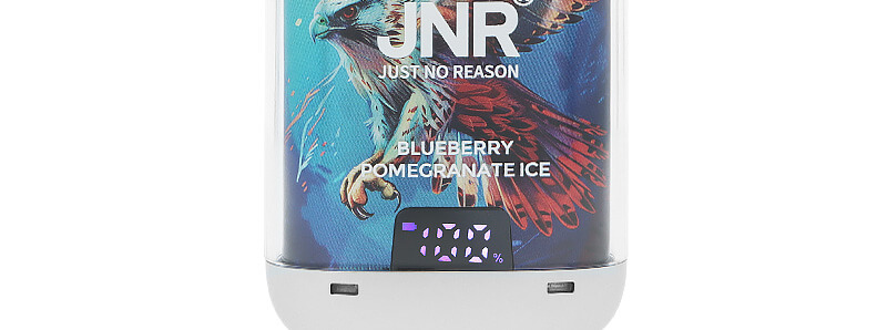 L'écran de la puff rechargeable Falcon-X Plus de JNR